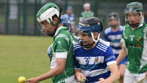 U15 HL v Donaghmore Ashbourne 10.07.2024