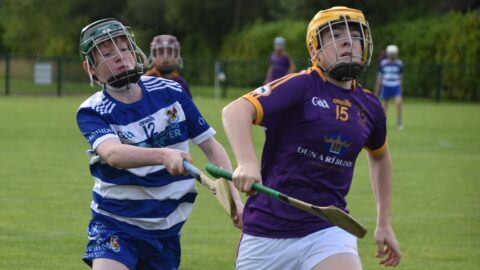 U15 Div 2 HL Semi Final v Wolfe Tones 24.07.2024