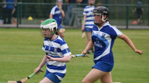 Minor B Camogie v Boardsmill 15.07.2024