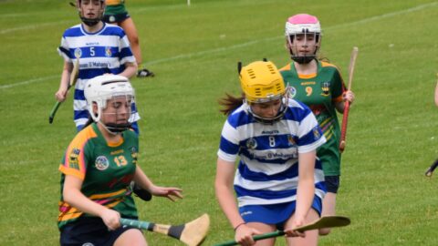 Minor B Camogie Final v Clann na nGael 29.07.2024