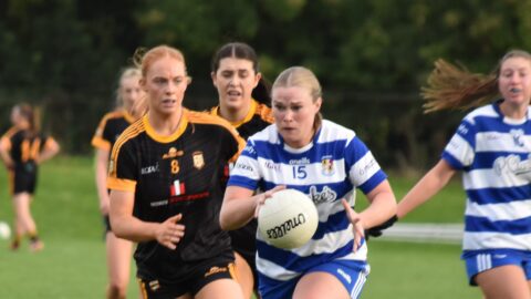 SFC v Dunshaughlin Royal Gaels 14.08.2024