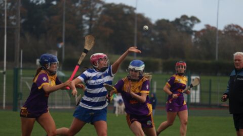 Junior B Camogie Final v Wolfe Tones 26.10.2024 Action