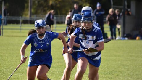 U16 A Camogie Final v Kildalkey/Boardsmill 12.10.2024