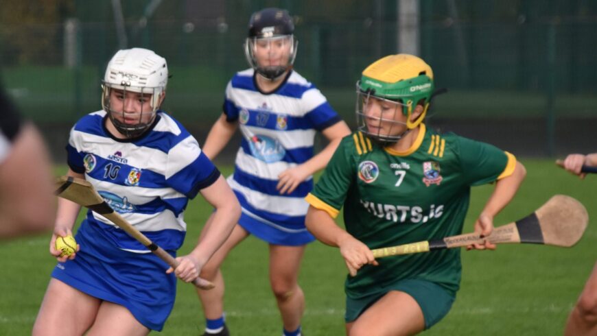 Leinster JCC Final