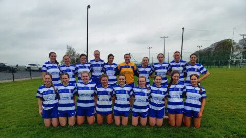 Div 5 FL v Drumbaragh Emmets Report