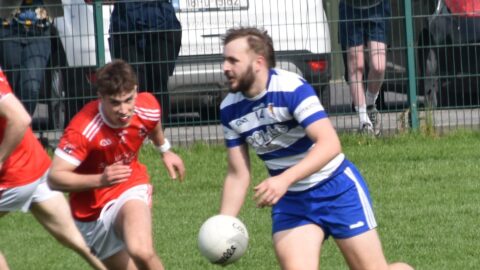 Div 2 FL v Trim Report