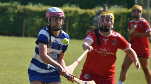 Div 3 CL Final v Trim Report