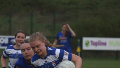 Div 5 FL v Clonard 28.04.2025