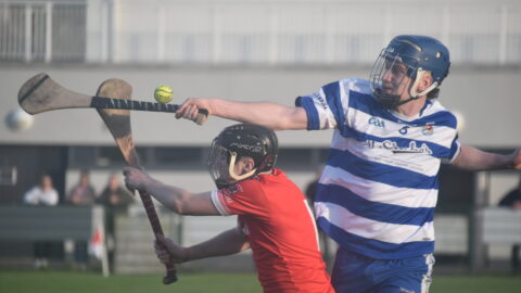 Div 2 HL v Trim Report