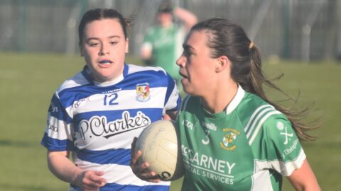 Div 1 FL v Donaghmore/Ashbourne Report