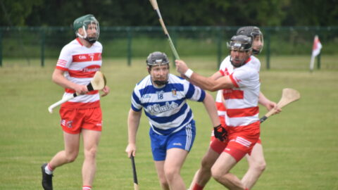 Div 2 HL v Drumree 22.06.2025